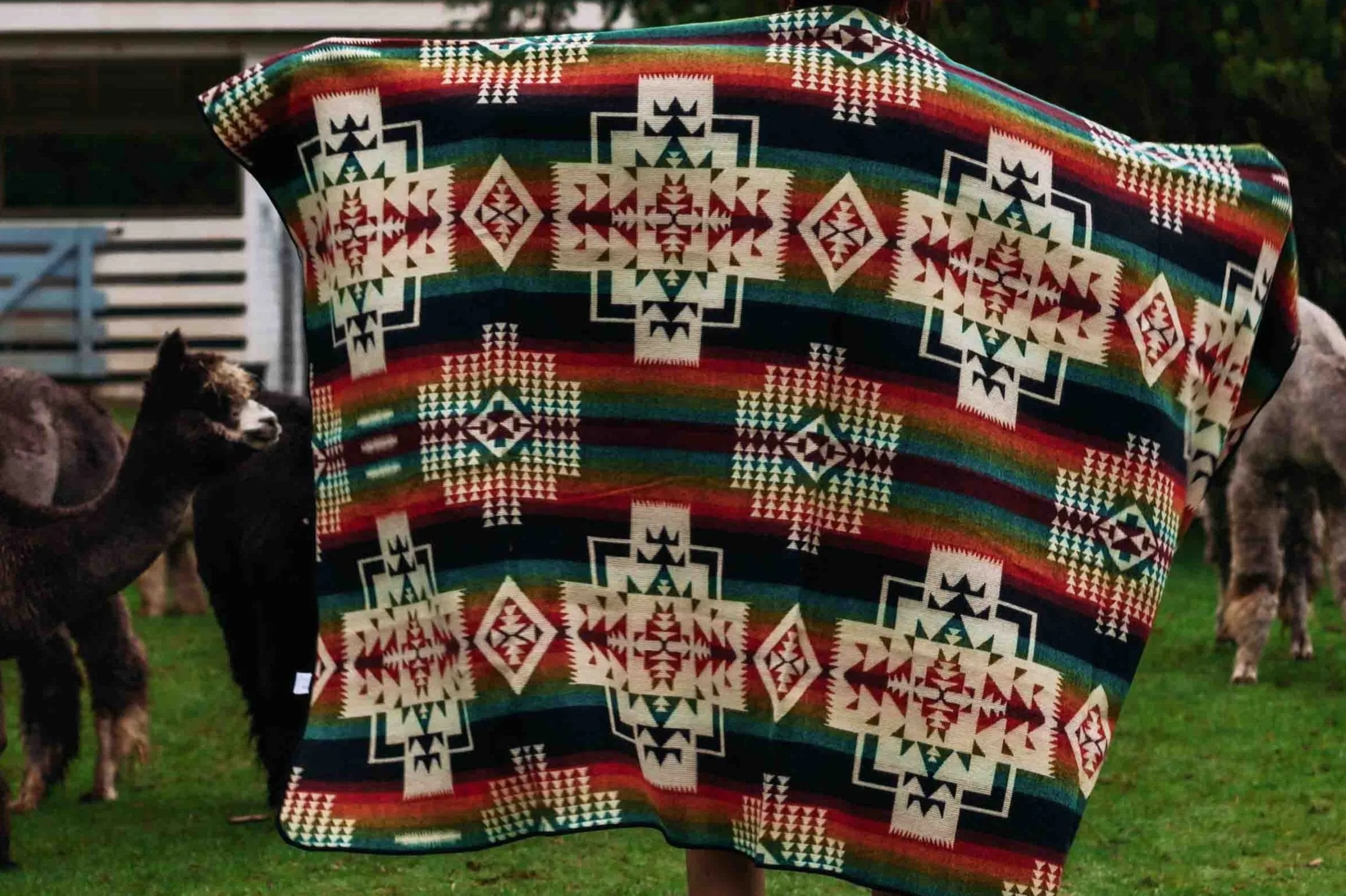 San Borja - Noche - Alpaca Wool Blanket - Enchanted Farms