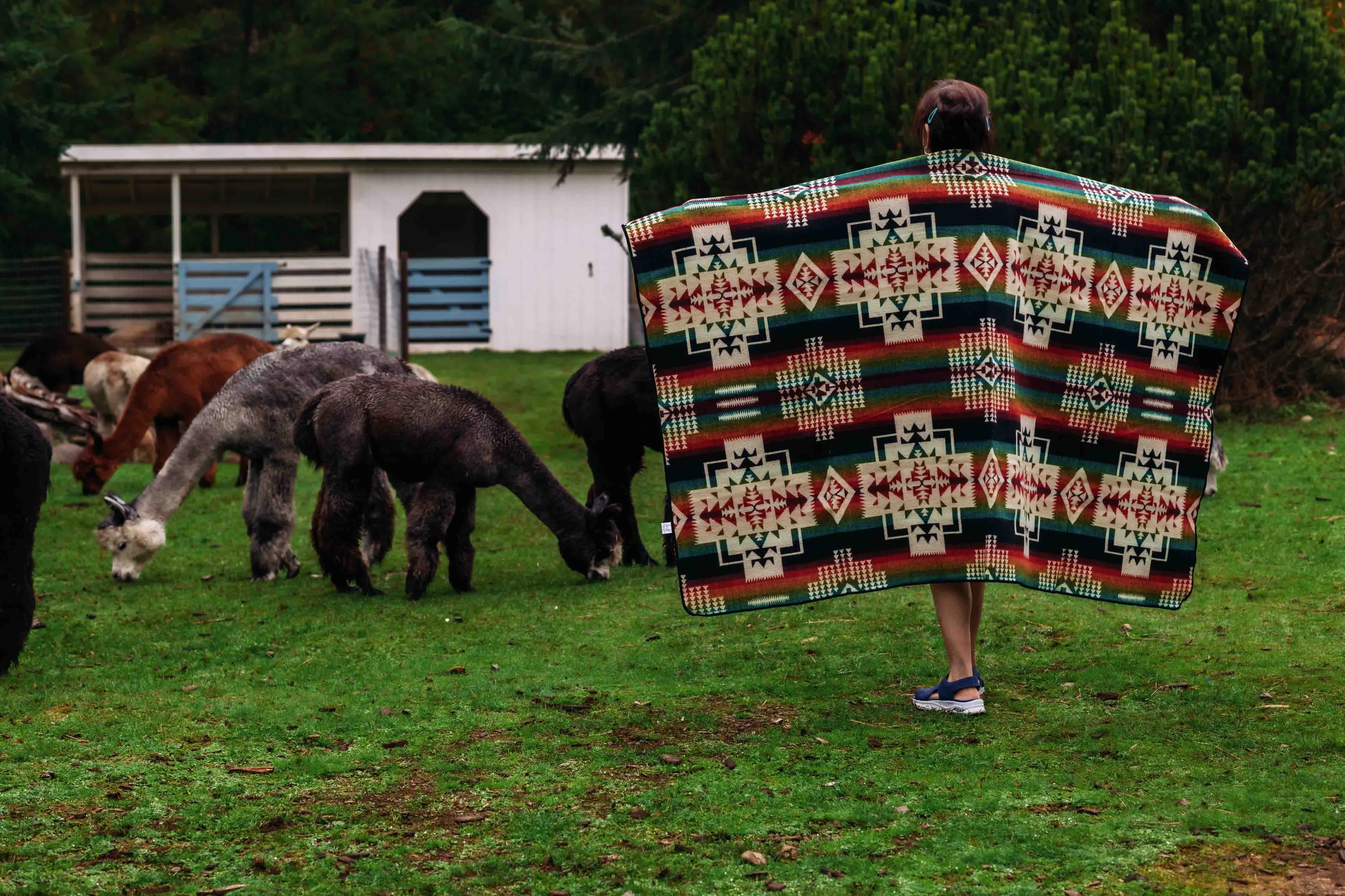 San Borja - Noche - Alpaca Wool Blanket - Enchanted Farms