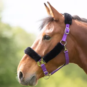 Shires Fleece Lined Headcollar