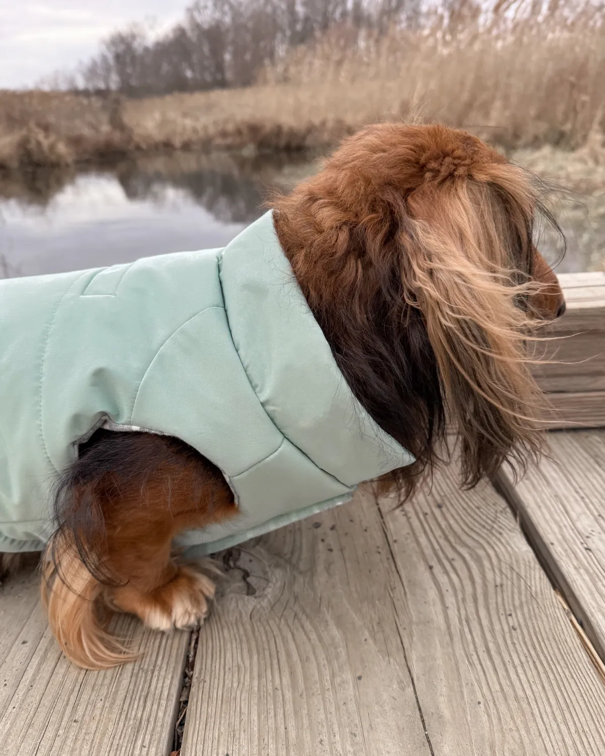 Snowline™ Puffer Dog Coat - Sea Foam Green