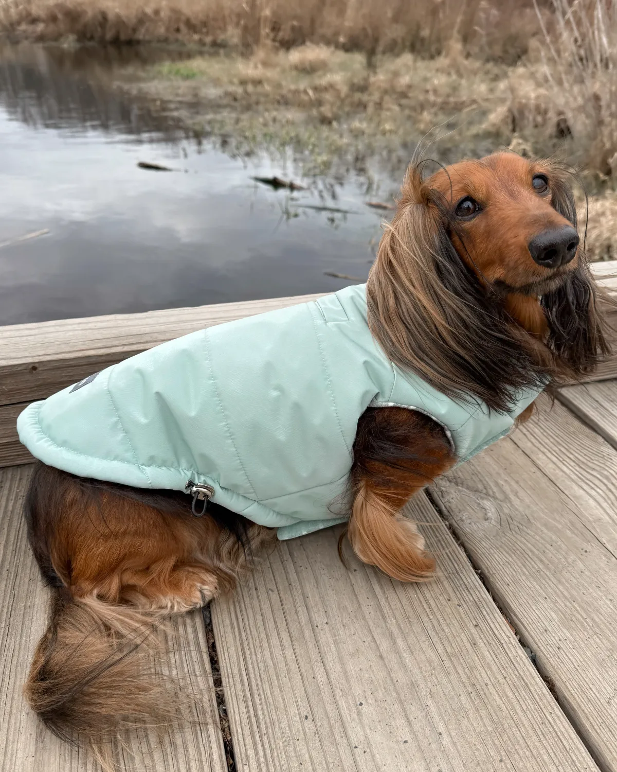 Snowline™ Puffer Dog Coat - Sea Foam Green