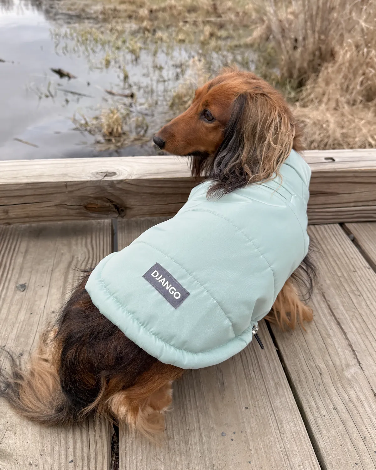 Snowline™ Puffer Dog Coat - Sea Foam Green