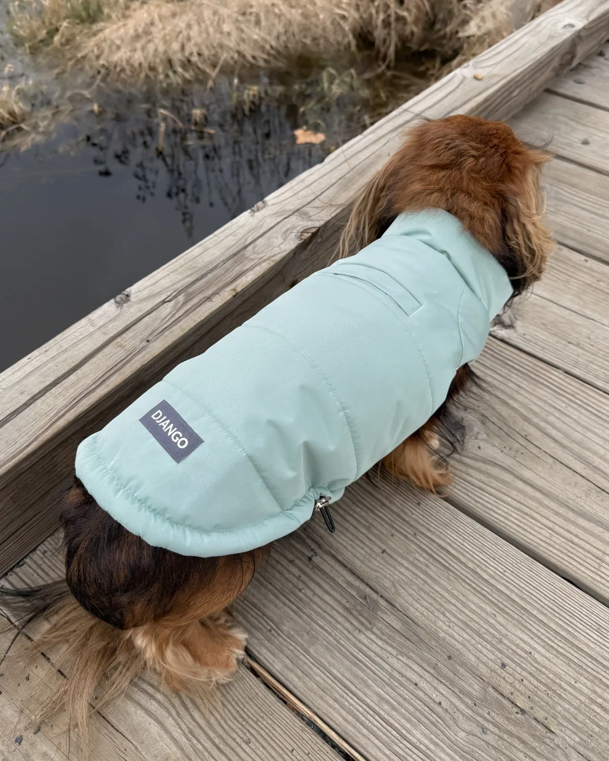 Snowline™ Puffer Dog Coat - Sea Foam Green