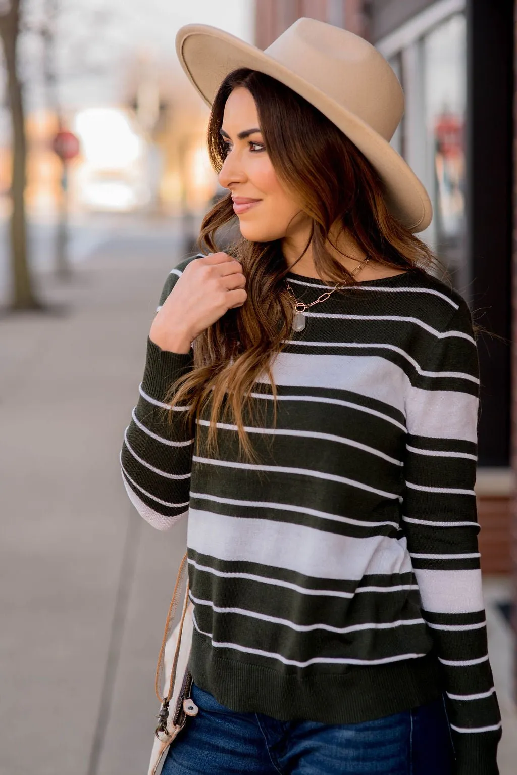 Solid Line Striped Sweater