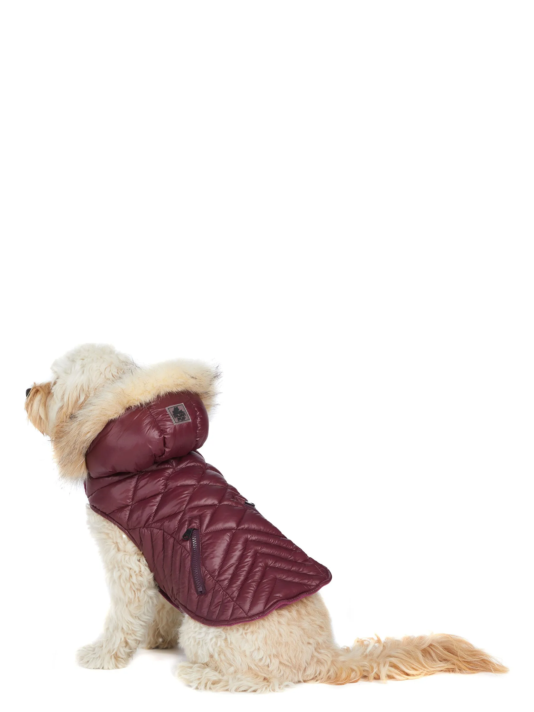 Zola Jacket for Dogs w/Faux Fur Trim