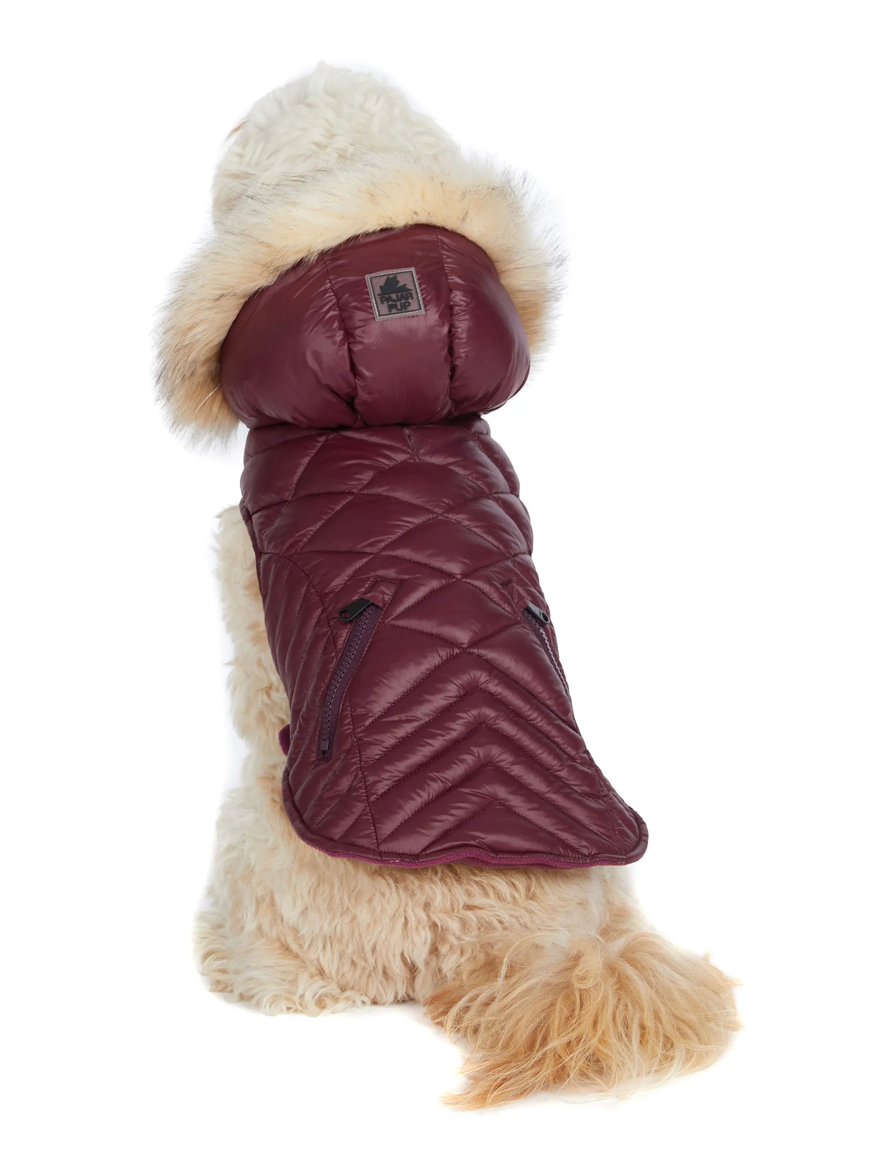 Zola Jacket for Dogs w/Faux Fur Trim